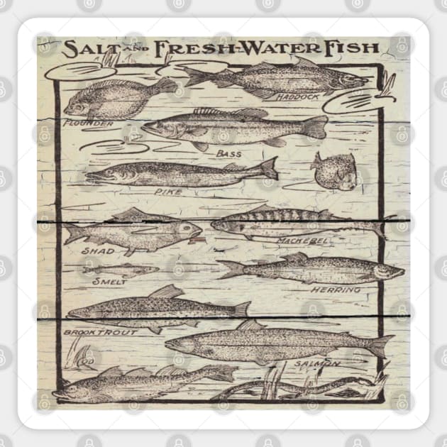 whitewashed wood lakehouse cabin cottage freshwater fishing chart Sticker by Tina